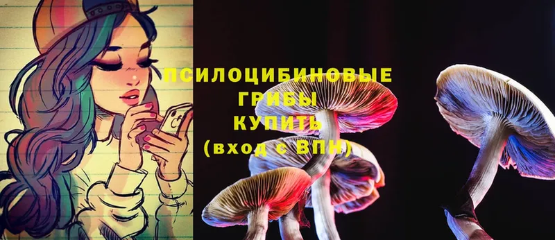 Псилоцибиновые грибы MAGIC MUSHROOMS  hydra tor  Кириши 